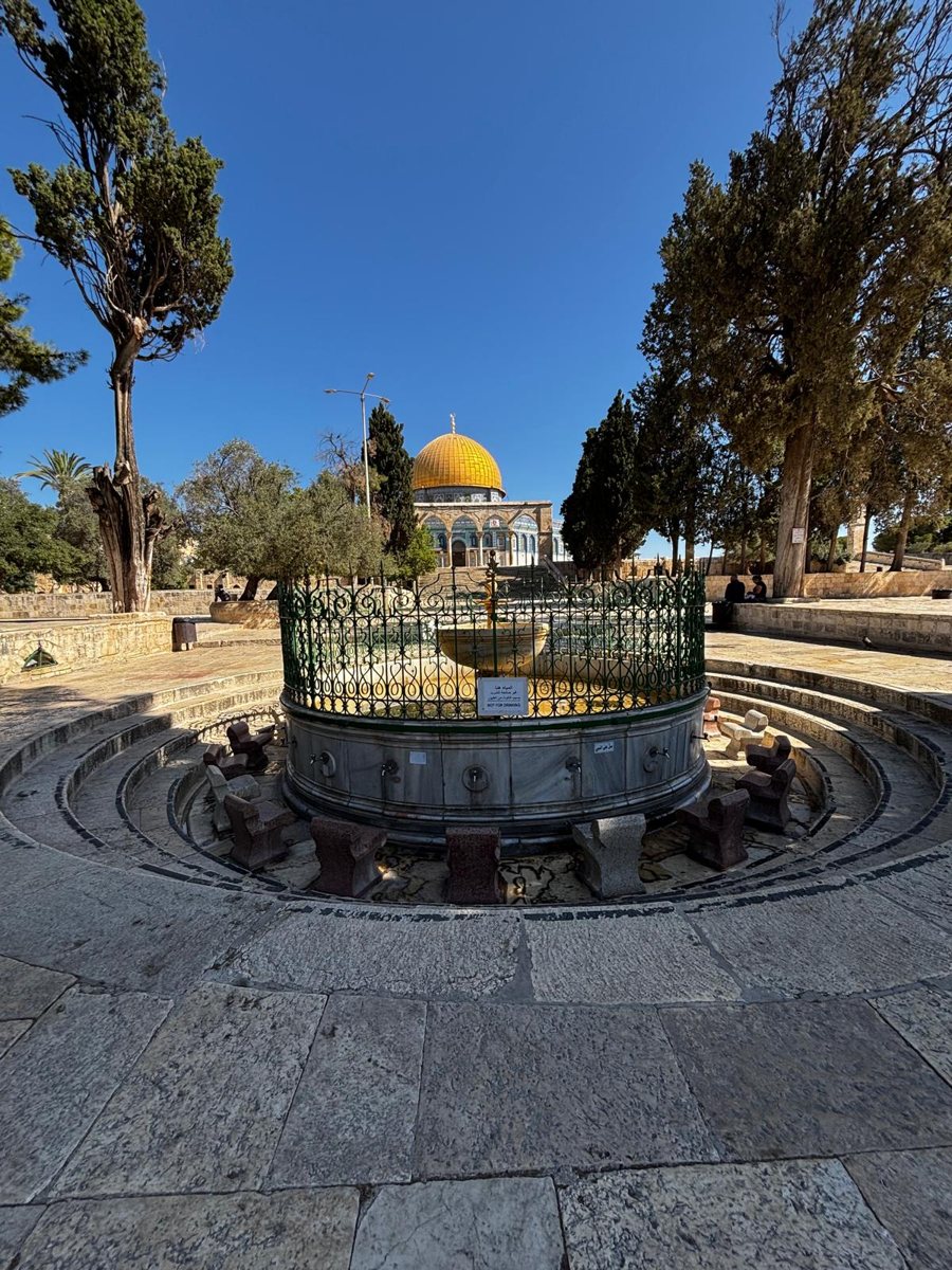 מזרקה עגולה בין עצים, וכיפת הסלע ברקע
